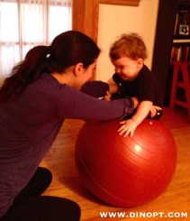 Pelota de abeterapia